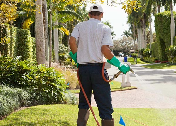 About Barksdale TX Pest Control